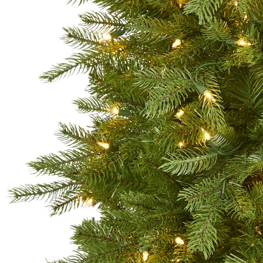 6ft. Pre-Lit Vienna Fir Artificial Christmas Tree, Warm White LED Lights
